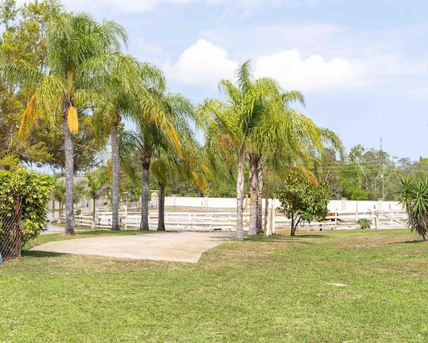 Tampa Bay Oasis Apartamento Tarpon Springs Exterior foto