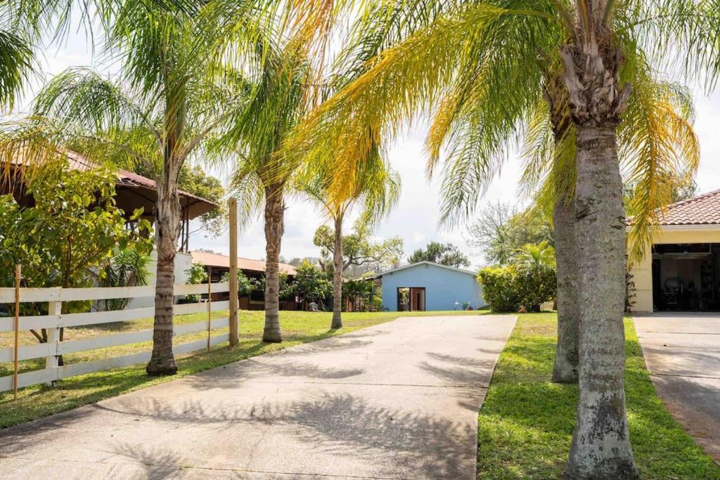 Tampa Bay Oasis Apartamento Tarpon Springs Exterior foto