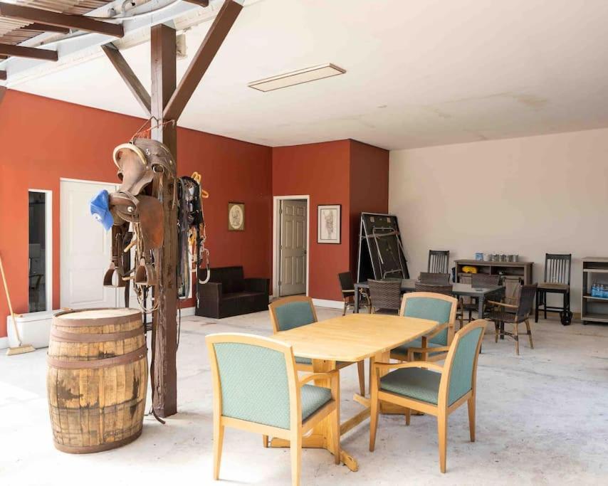 Tampa Bay Oasis Apartamento Tarpon Springs Exterior foto