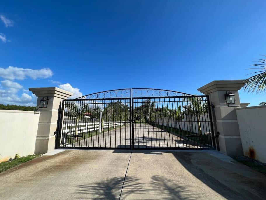 Tampa Bay Oasis Apartamento Tarpon Springs Exterior foto