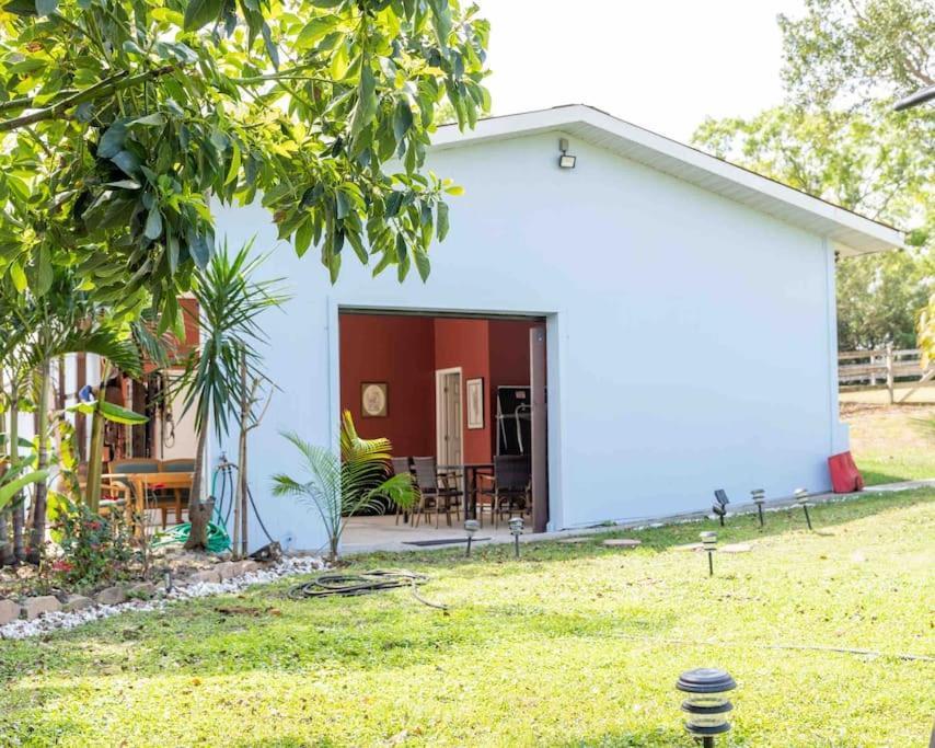 Tampa Bay Oasis Apartamento Tarpon Springs Exterior foto
