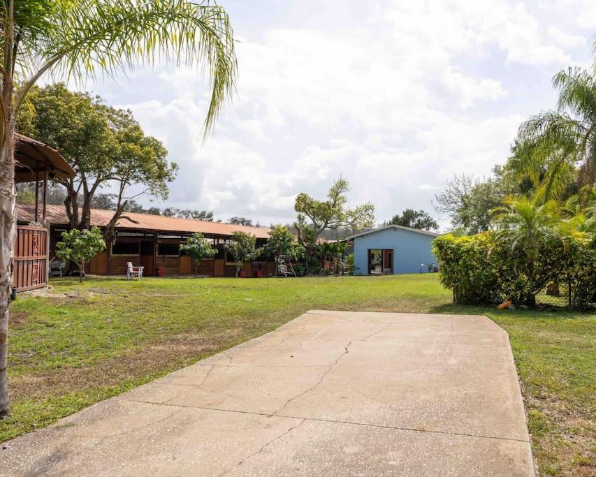 Tampa Bay Oasis Apartamento Tarpon Springs Exterior foto